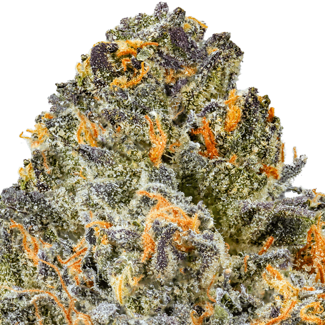 Northern Lights Strain