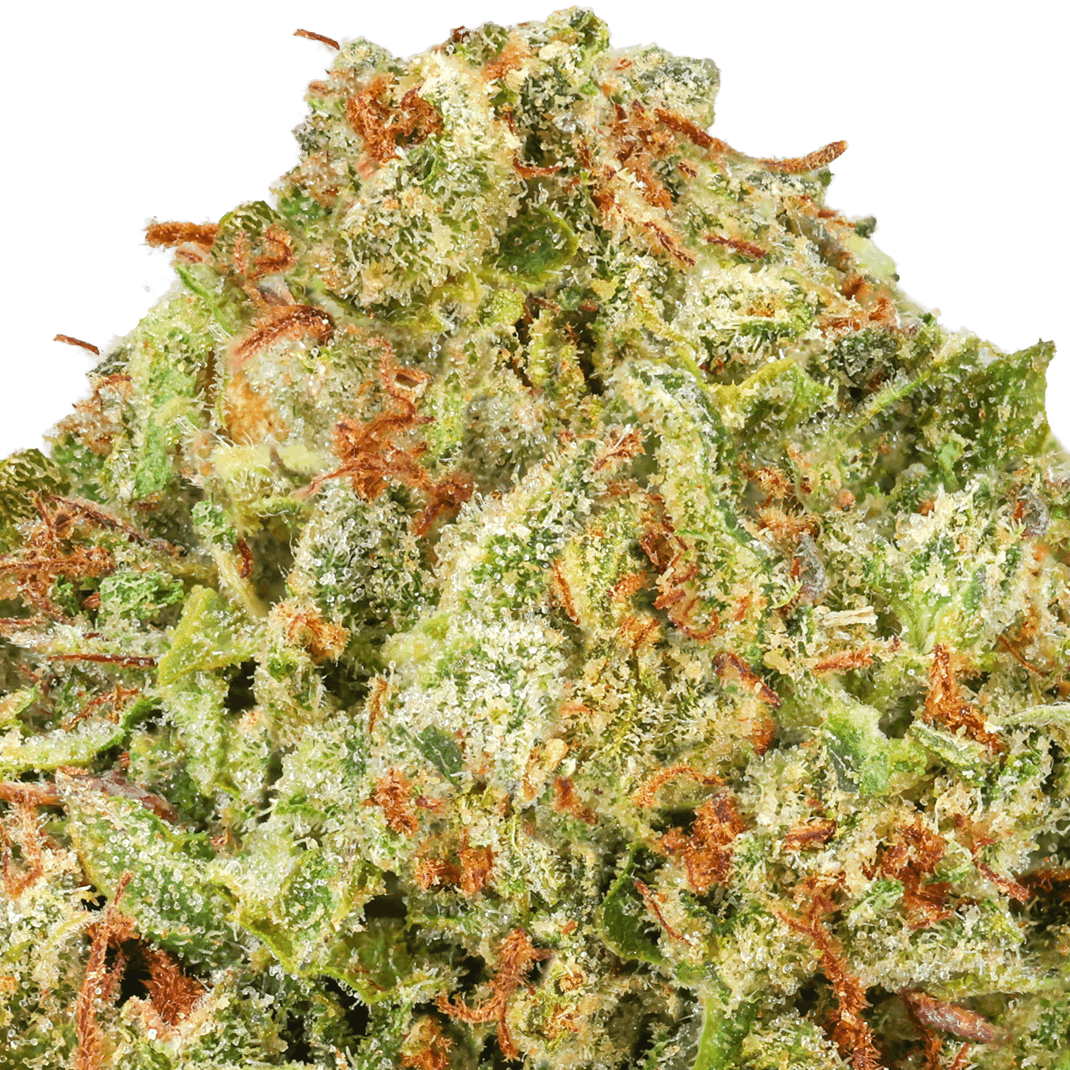 Pineapple Strain