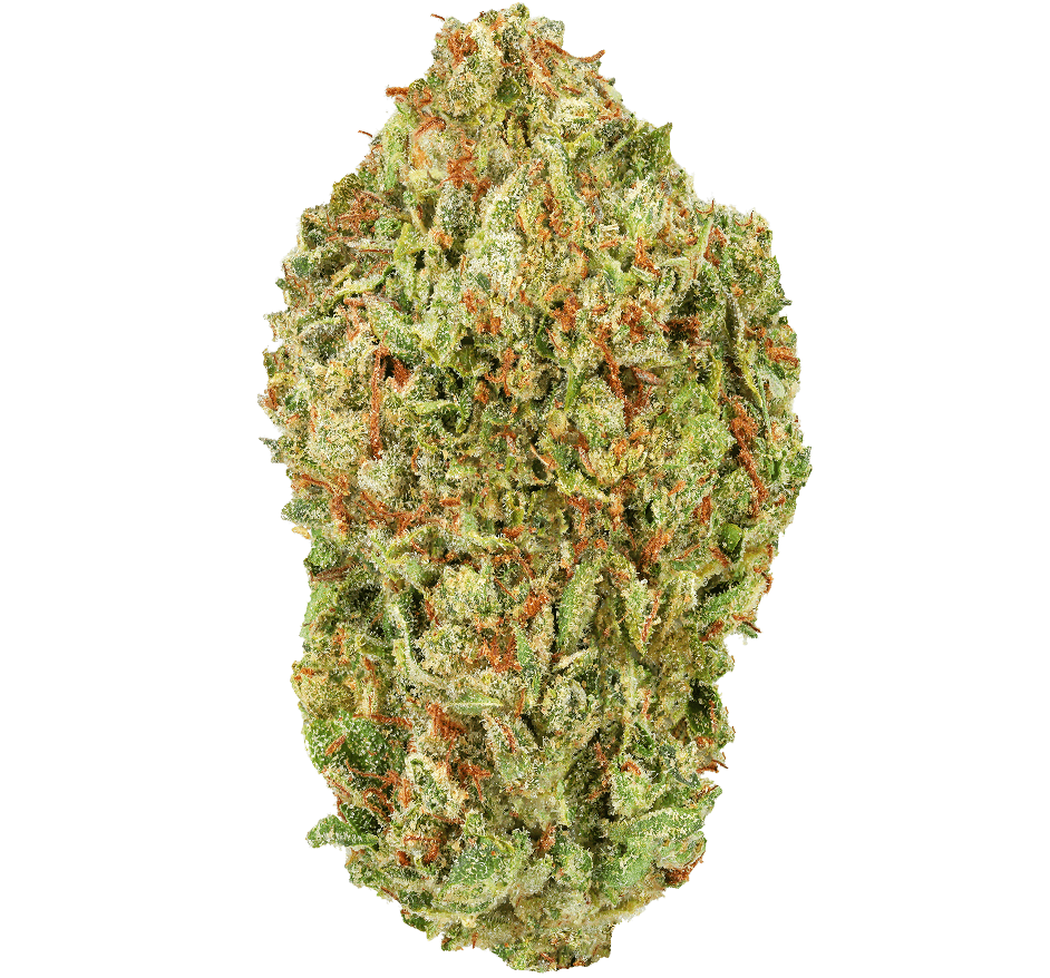 Pineapple Strain