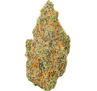 Rainbow Sugar Strain