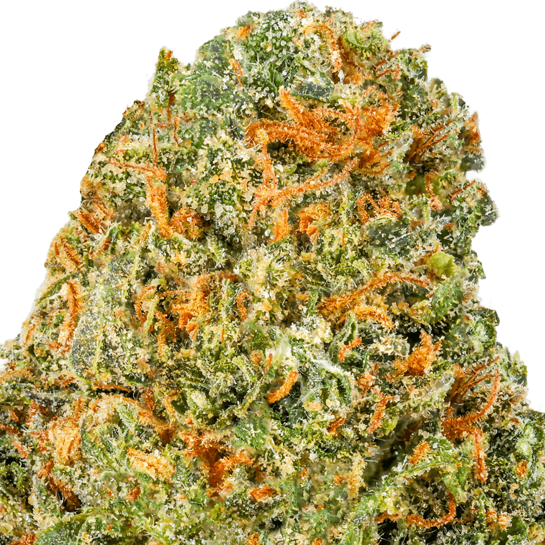 Venom-Kush-Strain-Macro Venom Kush Strain