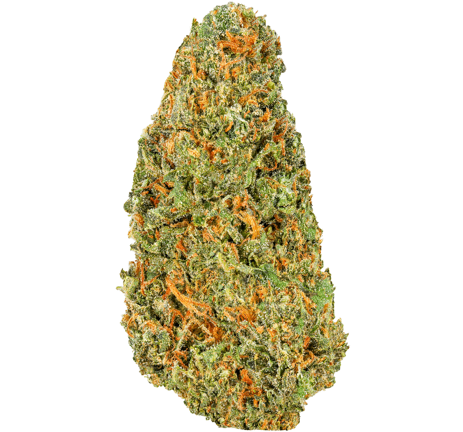 Venom-Kush-Strain Venom Kush Strain