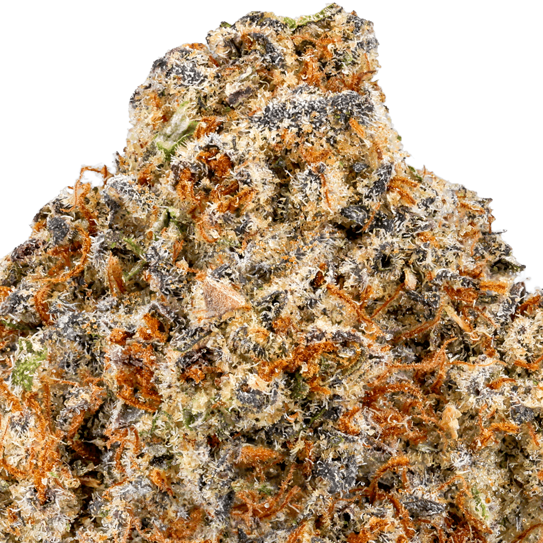 White Devil Strain