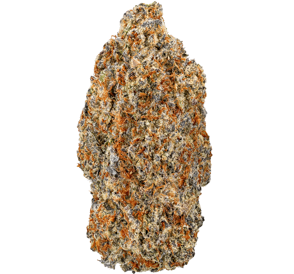 White Devil Strain