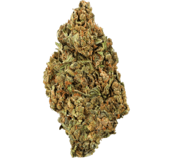 Banana Kush Strain