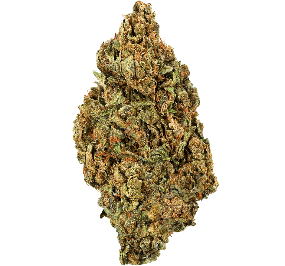 Banana Kush Strain