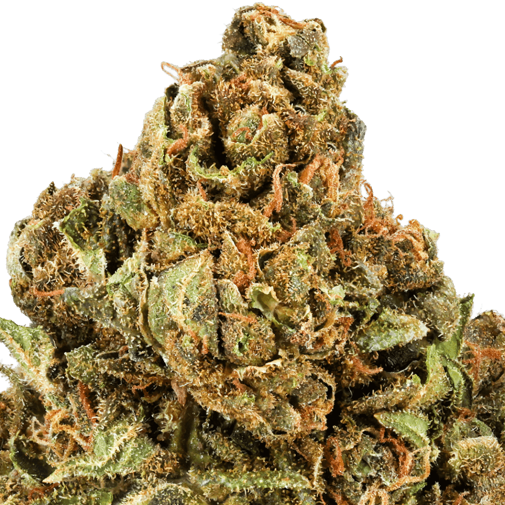 Banana Kush Strain