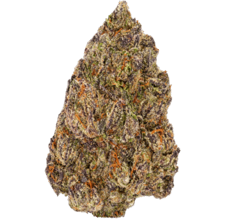 Black Runtz Strain