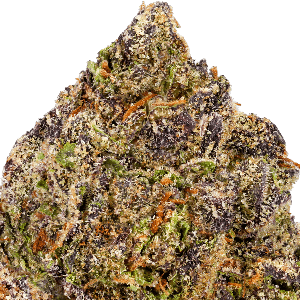 Black Runtz strain