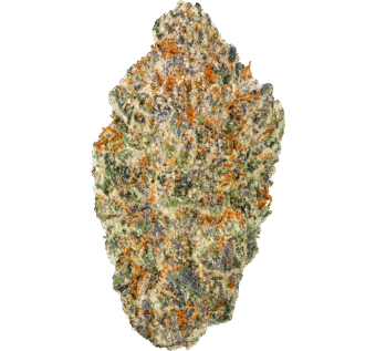 Blueberry Bars Strain