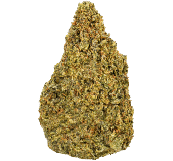 Bubblegum Strain