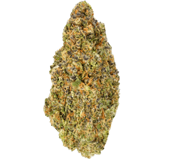 Chapel of Love Strain