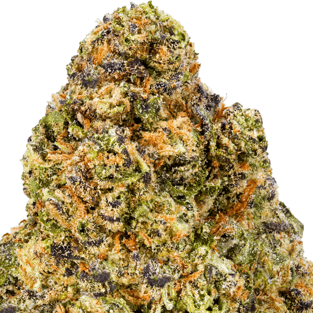 Chapel of Love Strain