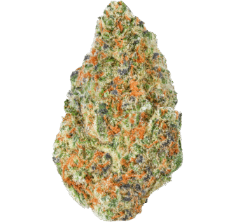 Cherry Bliss Strain