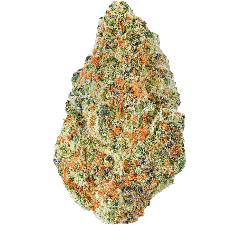 Cherry Bliss Strain