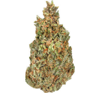 Cotton Candy Cookies Strain