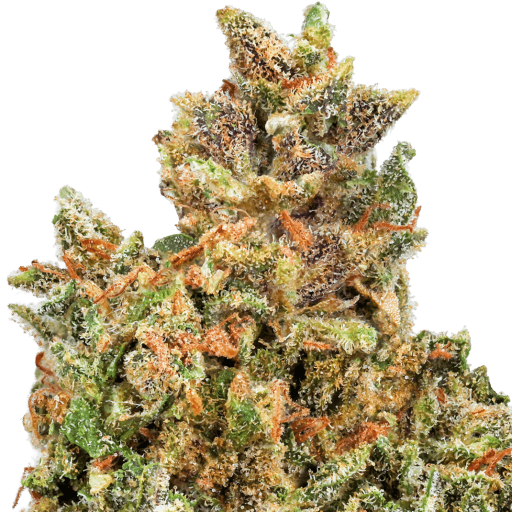 Cotton Candy Cookies Strain