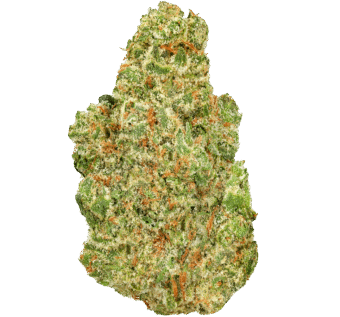 Donny Burger Strain