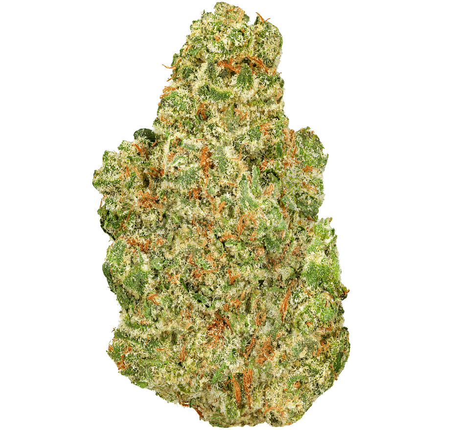 Donny-Burger-Strain (1) Donny Burger Strain