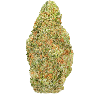 Durban Cookies Strain