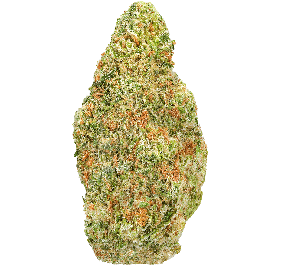 Durban Cookies Strain