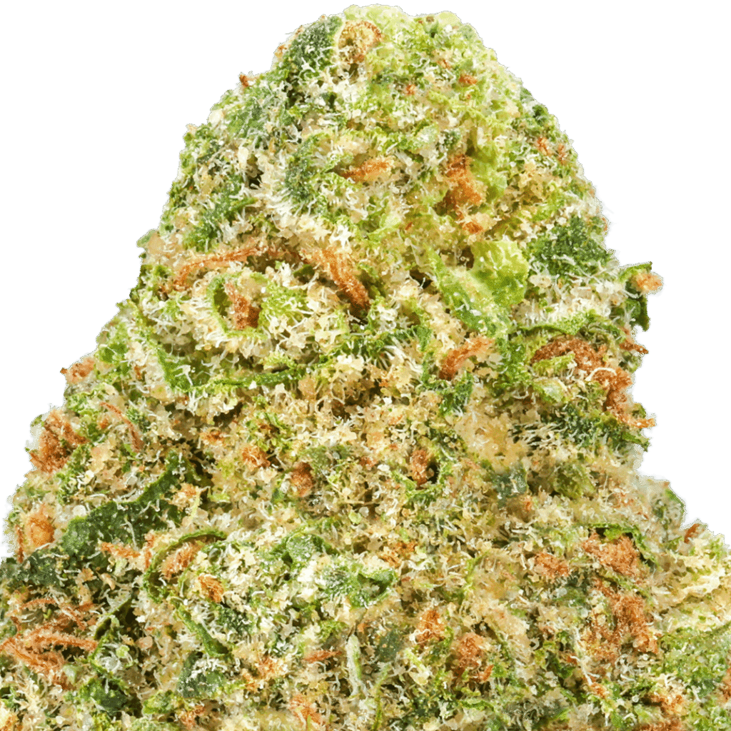Durban Cookies Strain