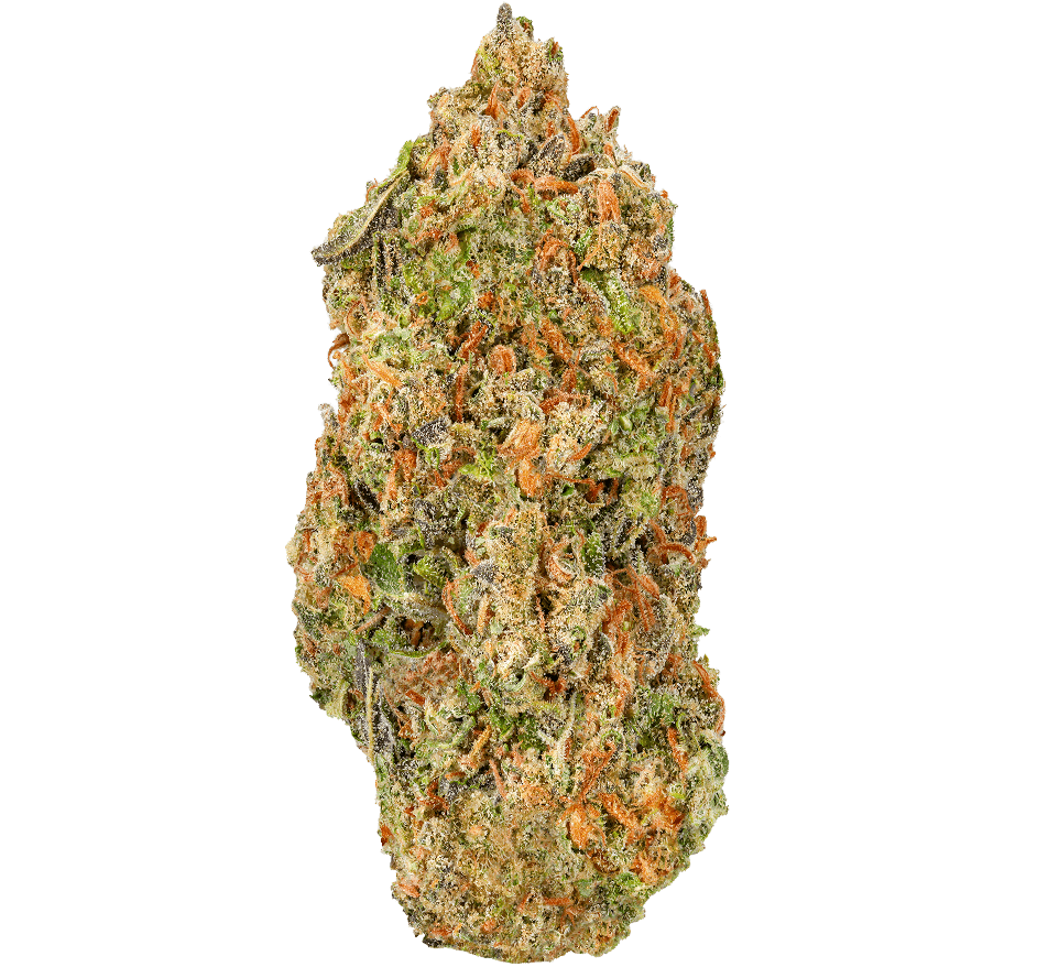 Face Fat Strain