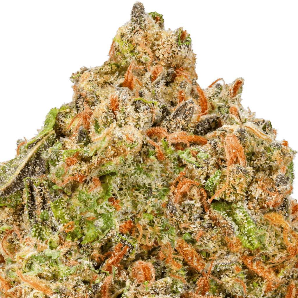 Face Fat Strain