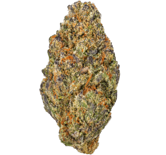 Frosted Popz Strain