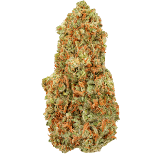 Gummy Bears Strain