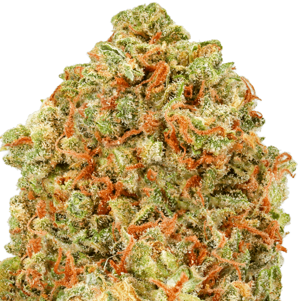 Gummy Bears Strain