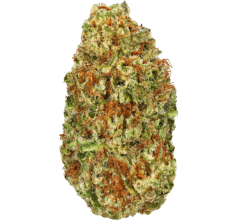 Illuminati Strain