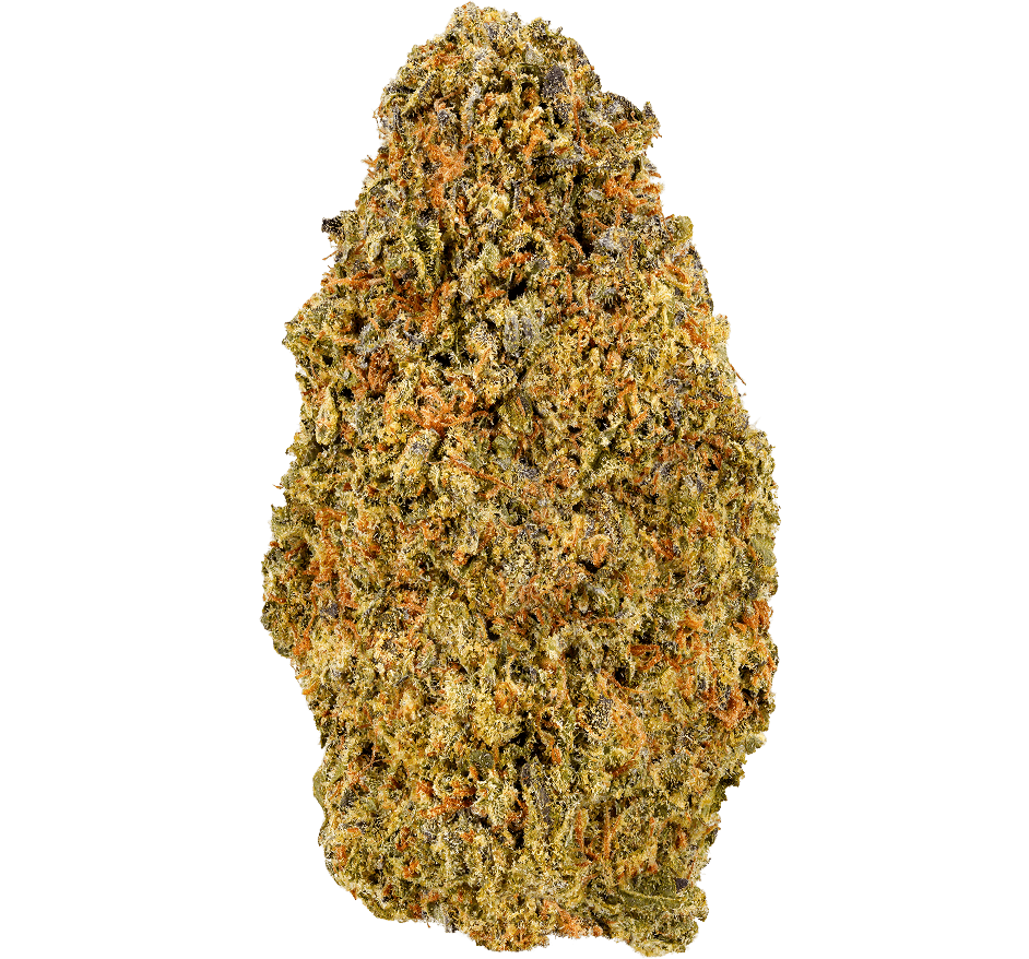 Jealousy-strain Jealousy Strain