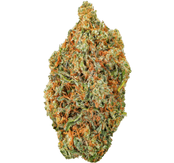King Gelato Strain
