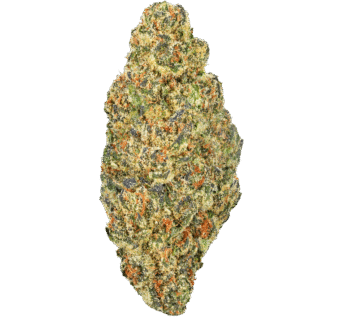 Northern Lights Strain