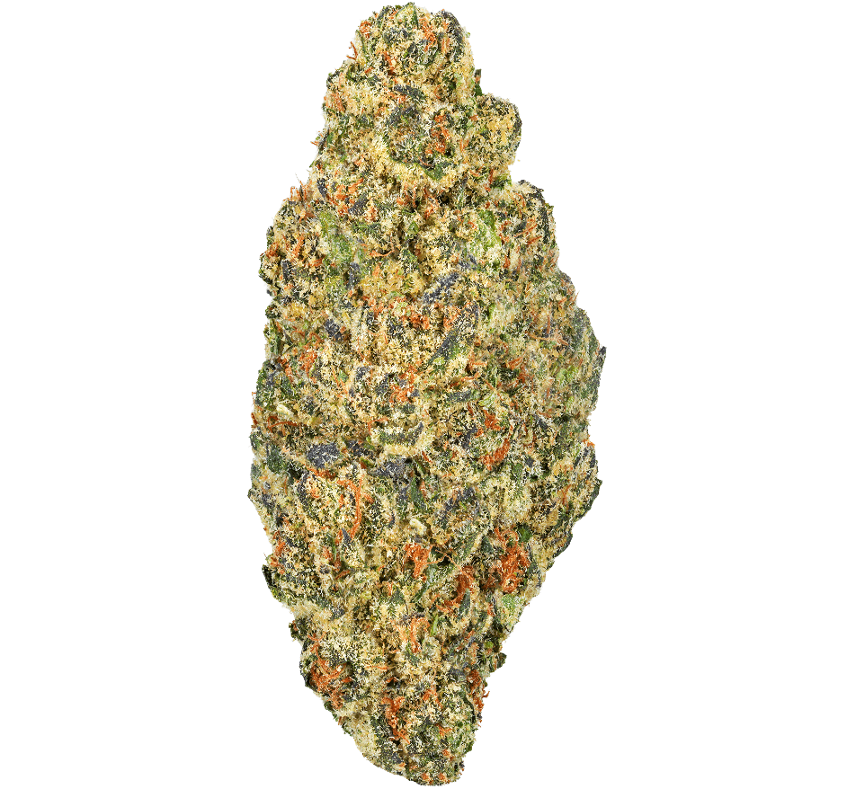 Northern Lights Strain