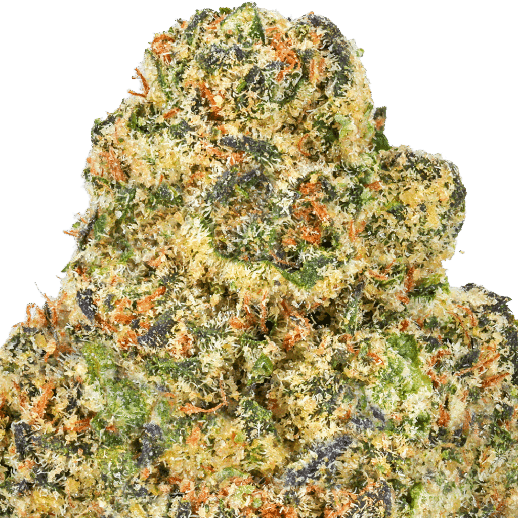 Northern Lights Strain
