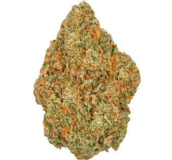 Omega-Runtz-Strain (1) Omega Runtz Strain