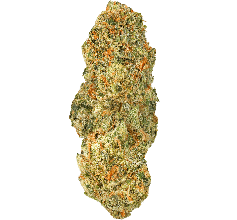 Orange Tree Strain