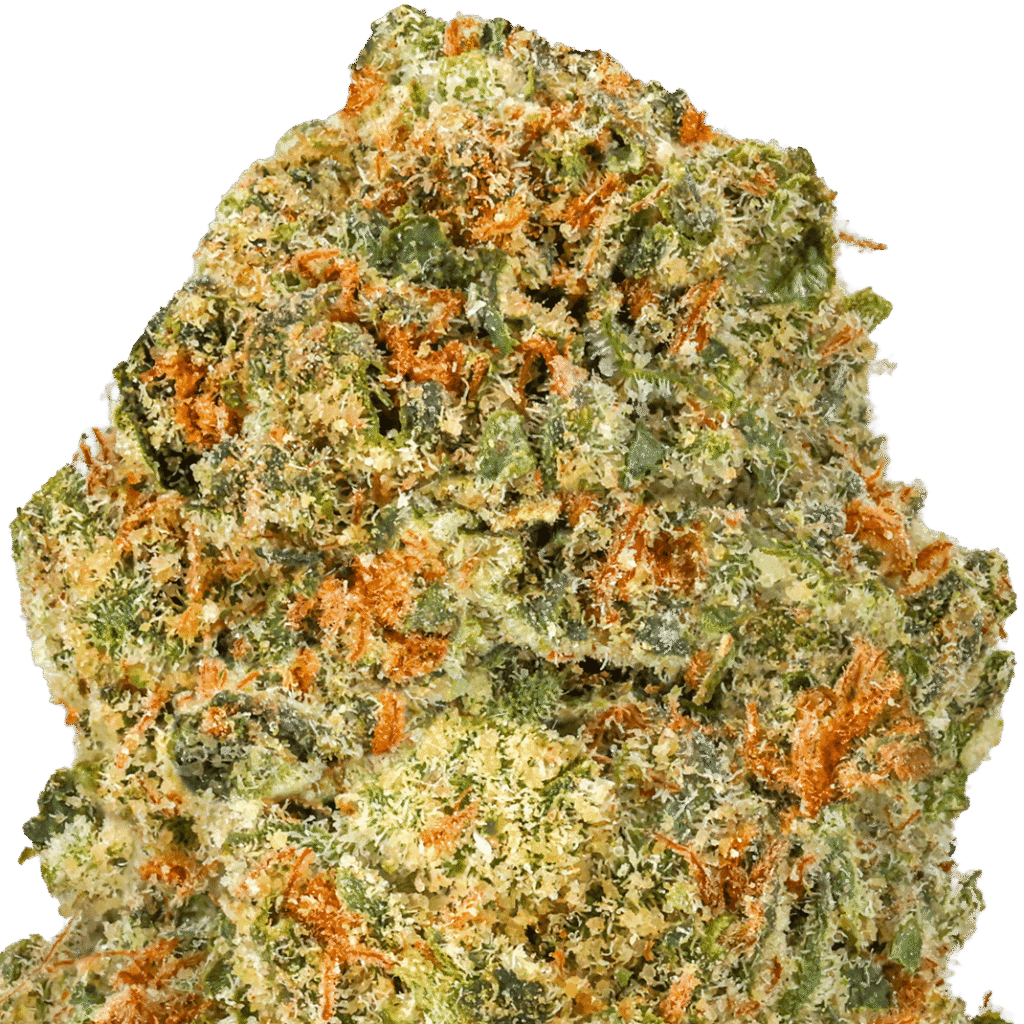 Orange Tree Strain