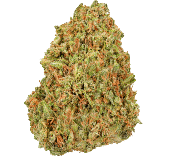 Papaya Bomb Strain