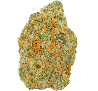 Roasted Marshmallow Strain