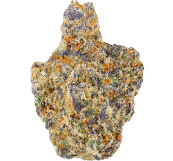 Rocket Power Strain