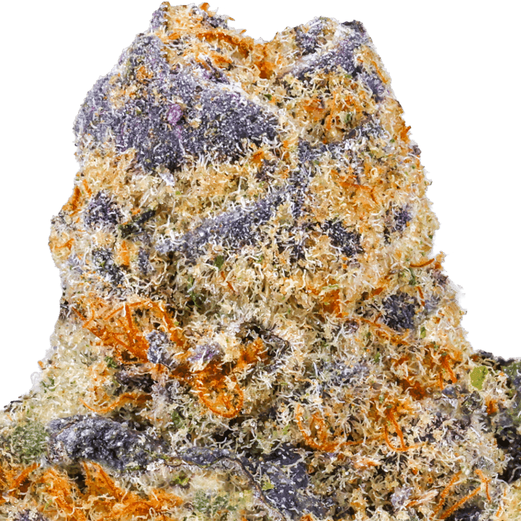 Rocket Power Strain