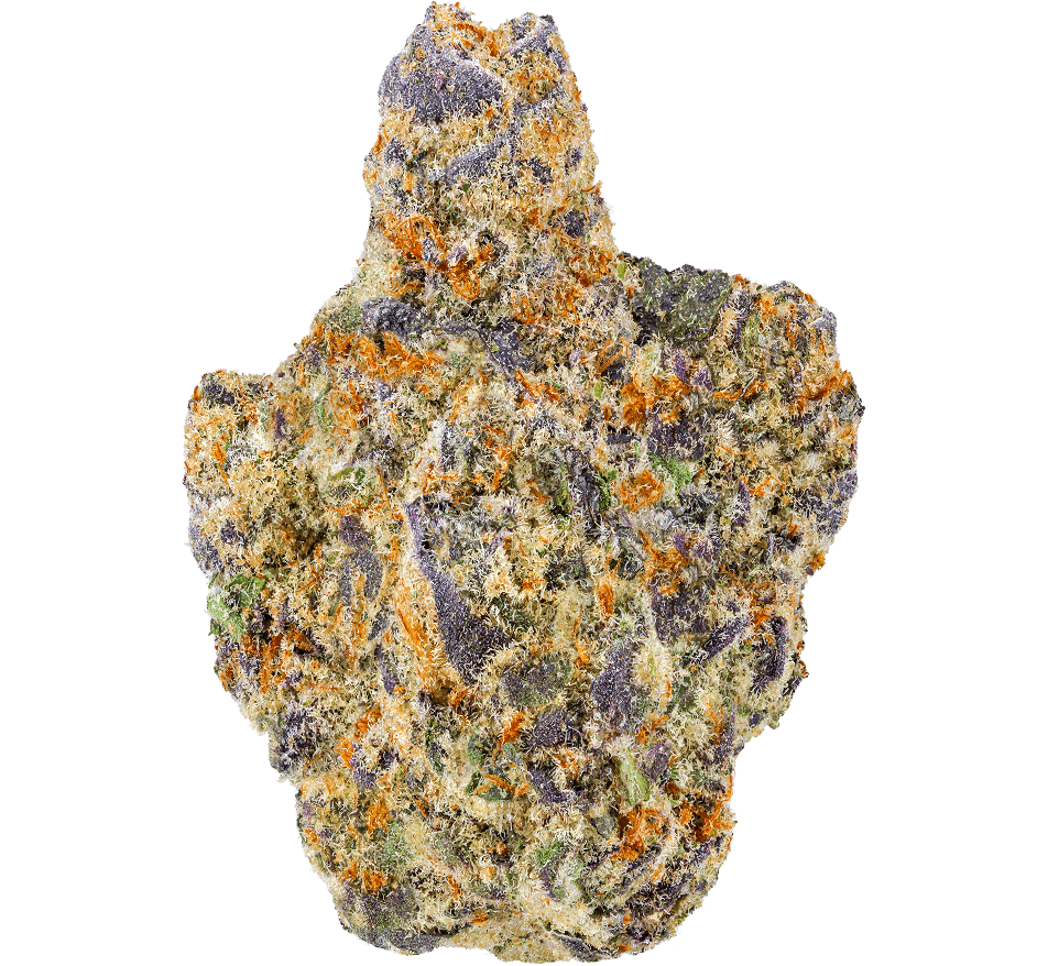 Rocket Power Strain
