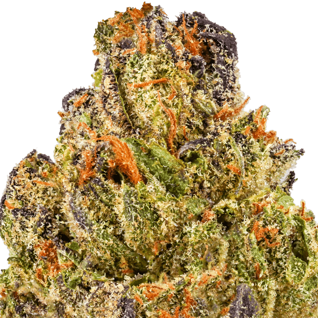 Double Runtz Strain