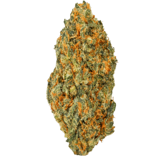Sour-Diesel-Strain (1) Sour Diesel Strain