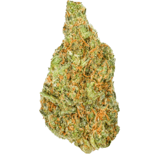 White Cherries Strain