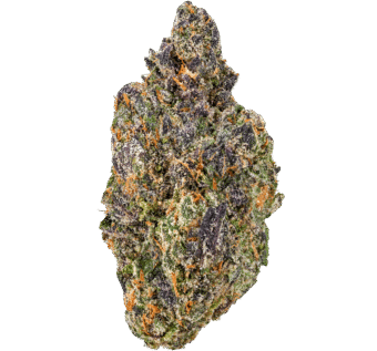 Woah Si Woah Strain
