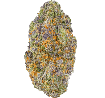 Zookie-Strain (1) Zookies Strain